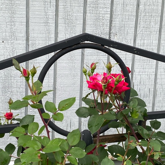 CLOSET CLOSING•SALE•make me any offer - Picture 15 of 16